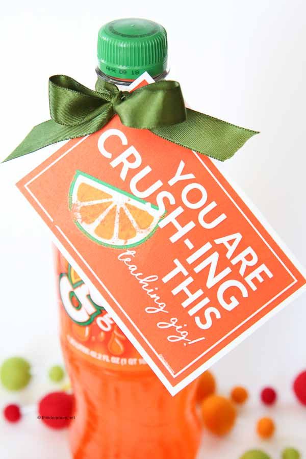 orange crush soda teacher
