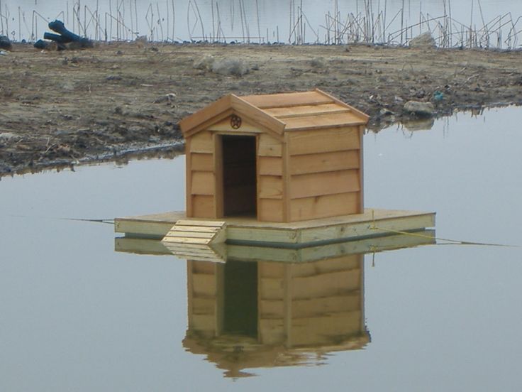 Best 25 Duck house plans ideas on Pinterest duck house plans