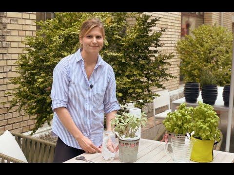 Bester Life Hack ever: Blumen automatisch giessen - YouTube