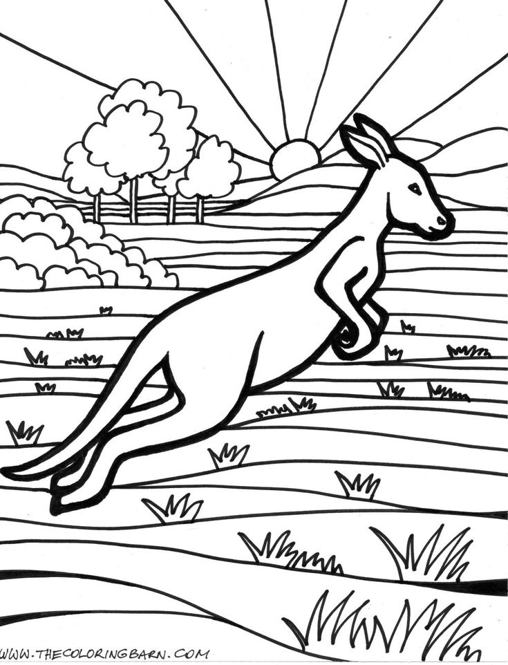 52 best social studies images on pinterest | kindergarten social ... - Kangaroo Coloring Pages Printable 52 best social studies images on pinterest | kindergarten social ... - Kangaroo Coloring Pages Printable