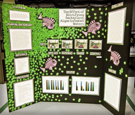 science fair poster designs