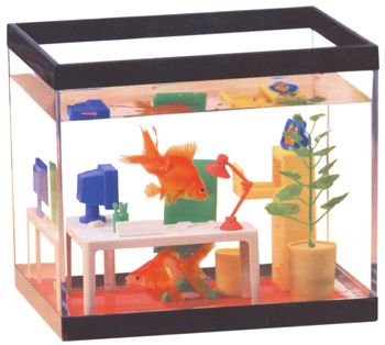 Office Fish Tanks Office Fish Tanks