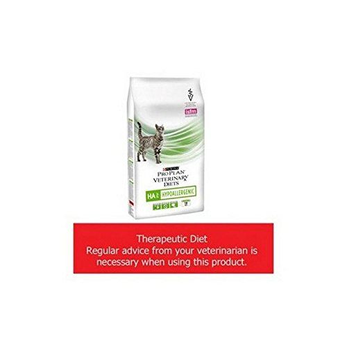 Die besten 25+ Hypoallergene katzenfutter Ideen auf Pinterest - schlaf gut traum sus muschel bett Die besten 25+ Hypoallergene katzenfutter Ideen auf Pinterest - schlaf gut traum sus muschel bett