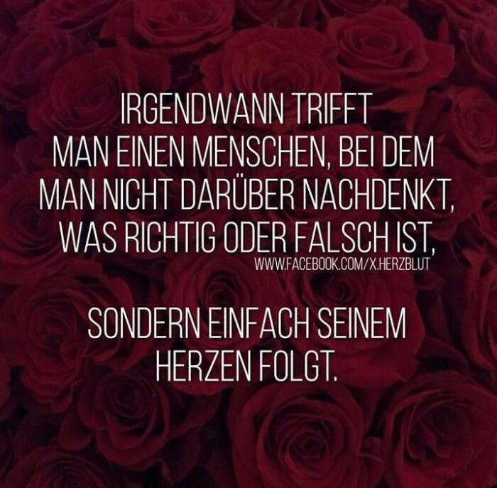 Jemand neues kennenlernen sprüche