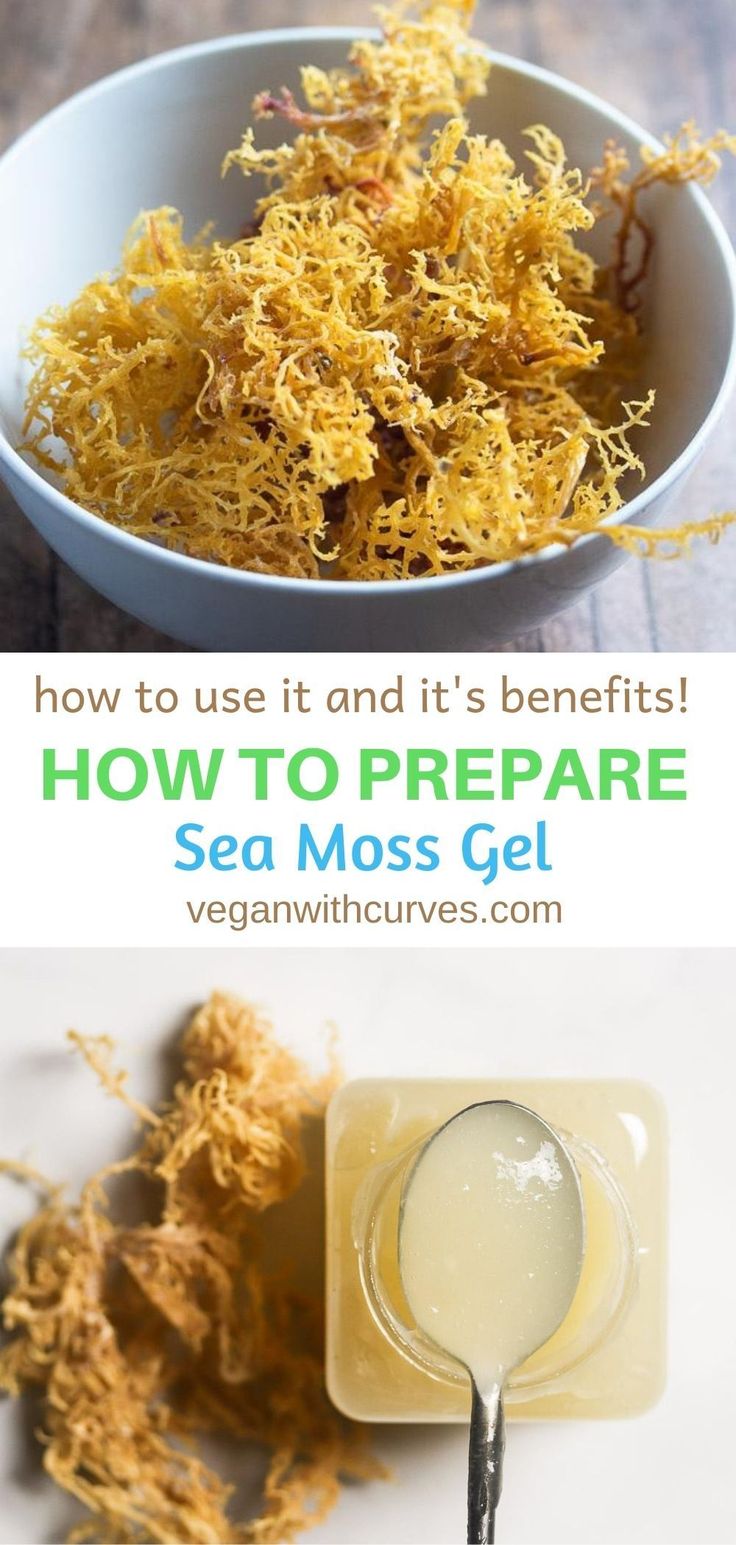 How To Make Sea Moss Gel Whole Food Recipes Sea Moss Vegan Recipes how-to-make-sea-moss-gel-whole-food-recipes-sea-moss-vegan-recipes