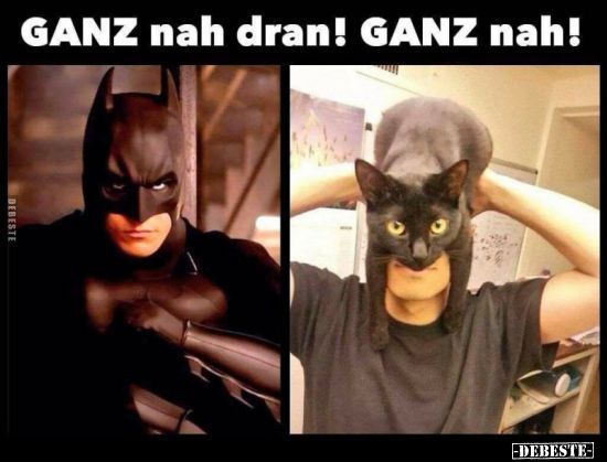 Sehr nah! Sehr nah!.. - Lustige Bilder - #Bilder #lustige #nah #sehr