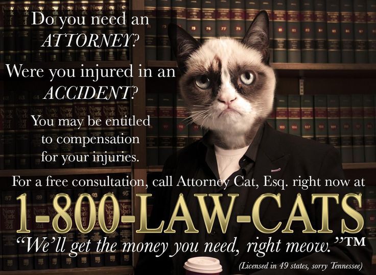 13 best Mediation images on Pinterest Conflict resolution, Divorce - sample forbearance agreement 13 best Mediation images on Pinterest Conflict resolution, Divorce - sample forbearance agreement