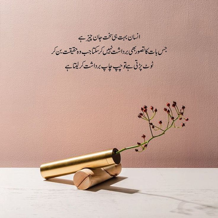 Urdu Heart Touching Line Quotes Words Heart Felt Quotes Heart urdu-heart-touching-line-urdu-quotes-deep-words-line-happy-girl