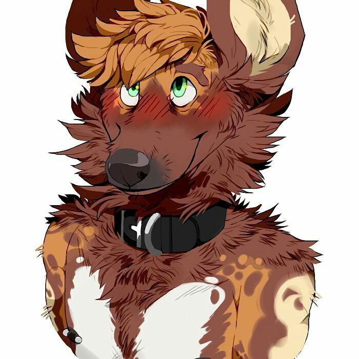 Gay yiff tatoo