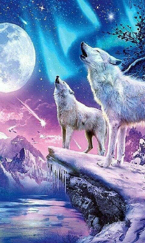 Pin by tamara steinwendner on wolf | Wolf art, Wolf spirit animal, Wolf