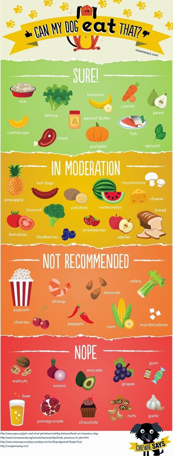 204 best pet friendly recipes images on pinterest pets dog stuff