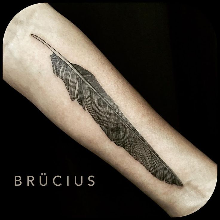 9 best tattoos images on pinterest bird drawers and etchings 9 best tattoos images on pinterest bird drawers and etchings