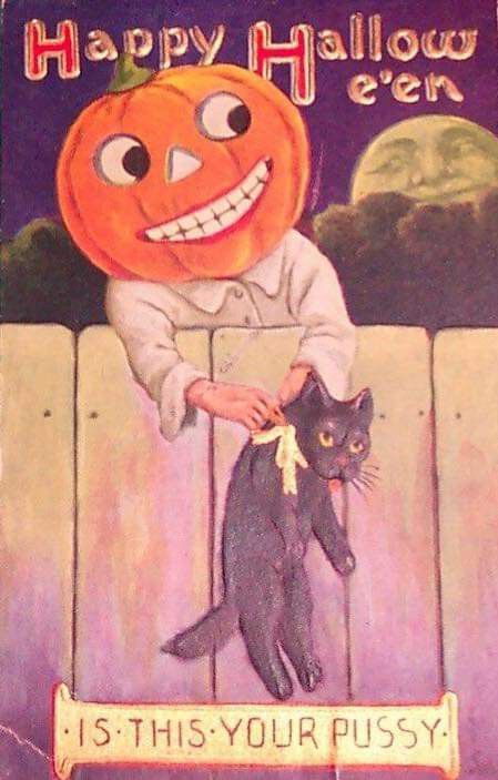 Herman recommend best of pussy furry cats vintage retro Herman recommend best of pussy furry cats vintage retro
