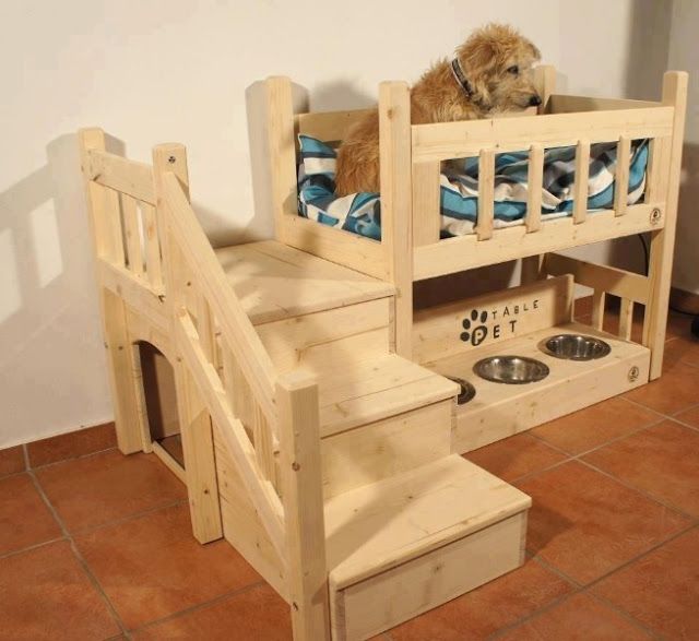 186 Best Pet Must Have Images On Pinterest Pets Cat Stuff And Dog Outdoor And Indoor Dog House Design Ideas