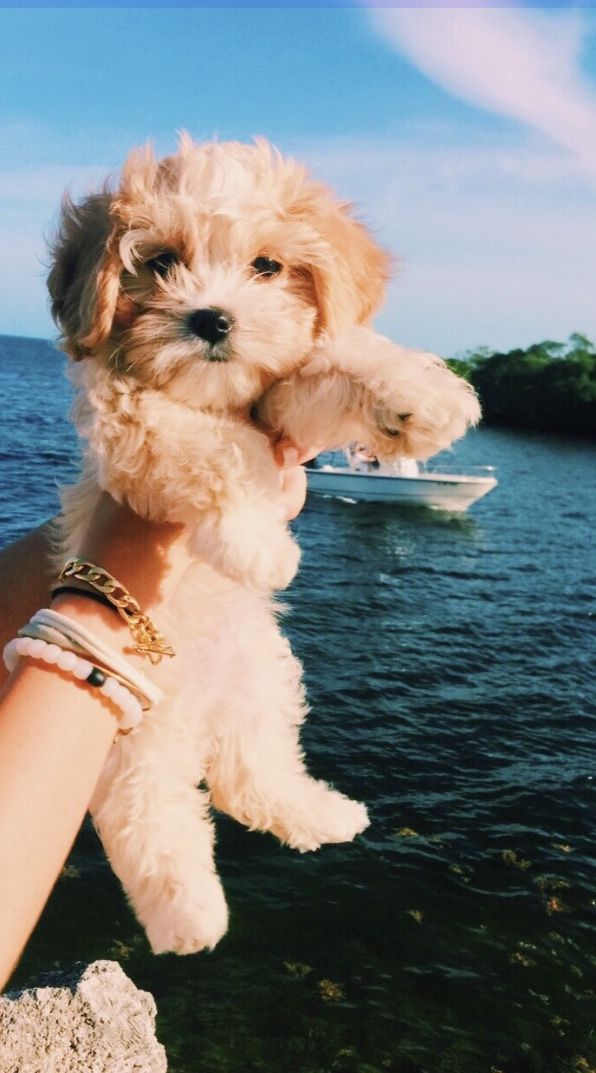 Pinterest Rileykleiin Instagram Rileyklein704 With Images