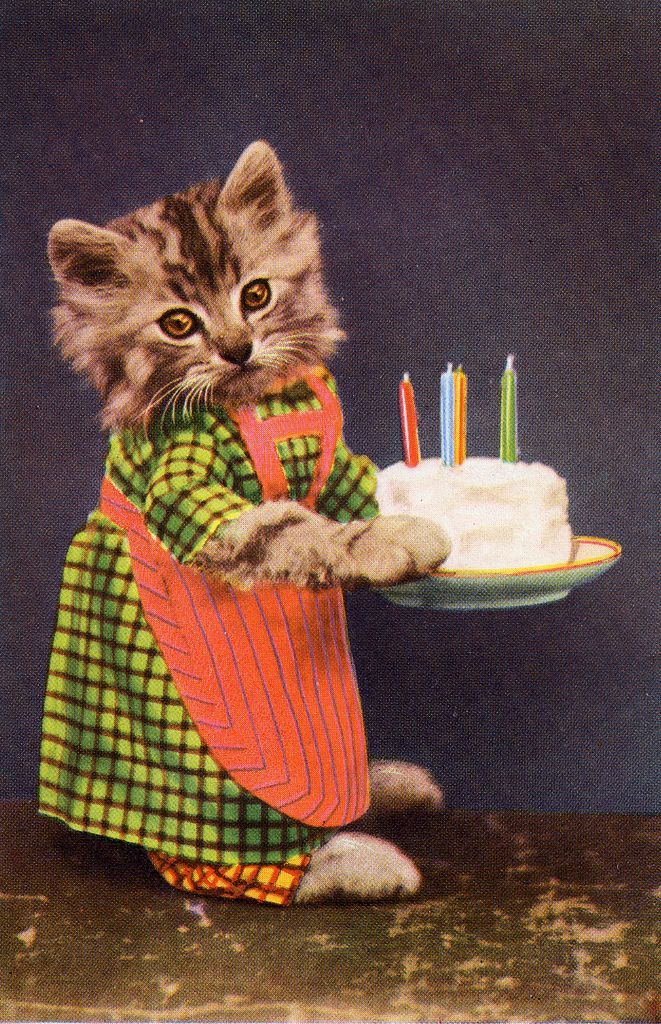 Single frauen und katzen