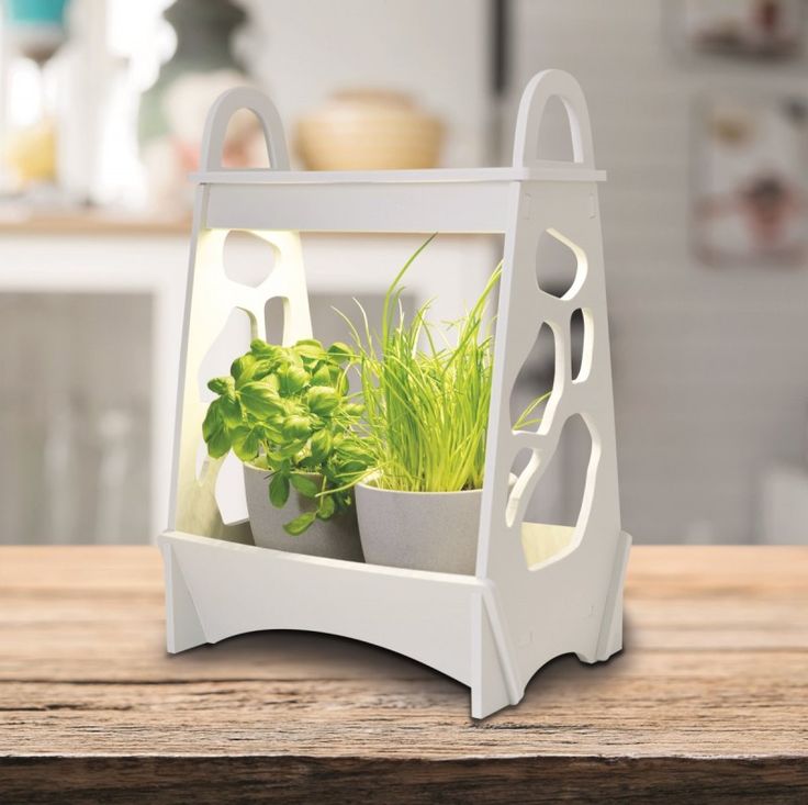 Pflanzenbeleuchtung Garten LED Pflanzenbeleuchtung weiß Näve Mini Garten Garden 32x16x34cm Innen