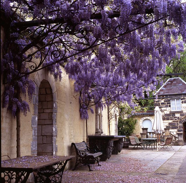 Tuscan Gardens Tuscan Style Garden Flickr Photo Sharing Tuscan Gardens Tuscan Style Garden Flickr Photo Sharing
