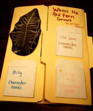Detective work book report