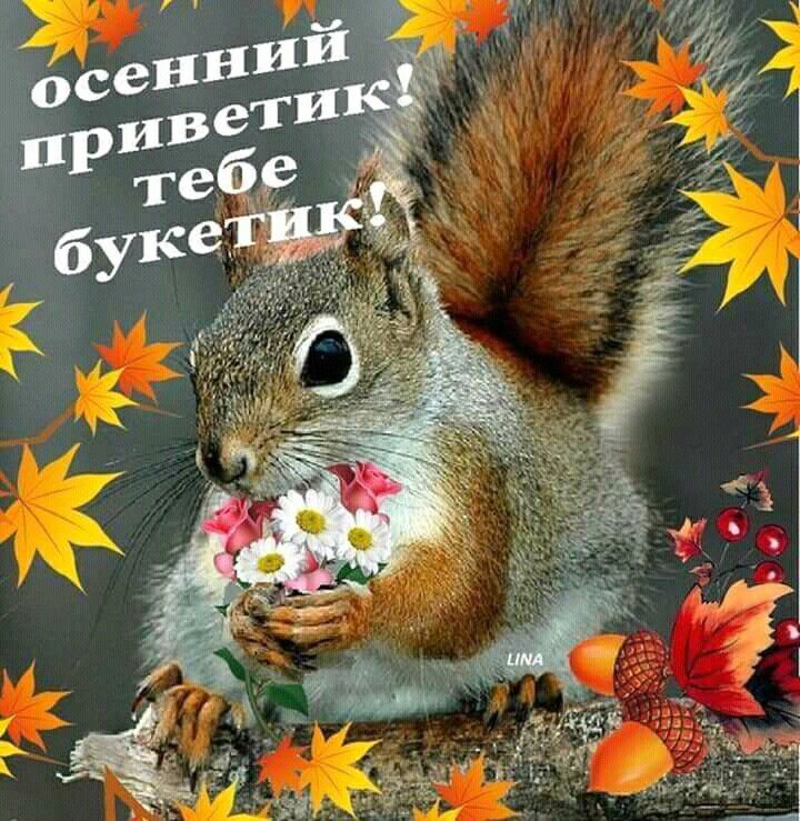 С первым днем осени картинки с надписями прикольные хорошее настроение