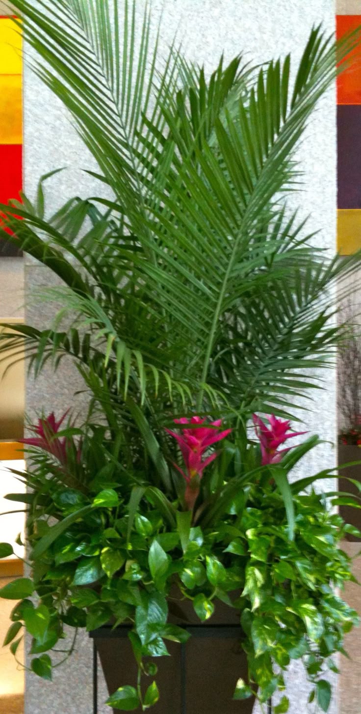 25 Unique Potted Plants Patio Ideas On 25 Unique Potted Plants Patio Ideas On Containers And Outdoor Flower Pots