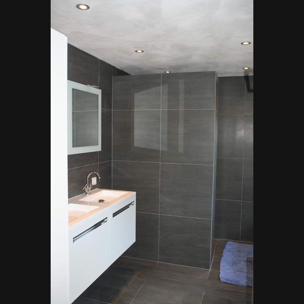 Design badkamer grijze vloertegels 60x60 op de wand en RVB ...