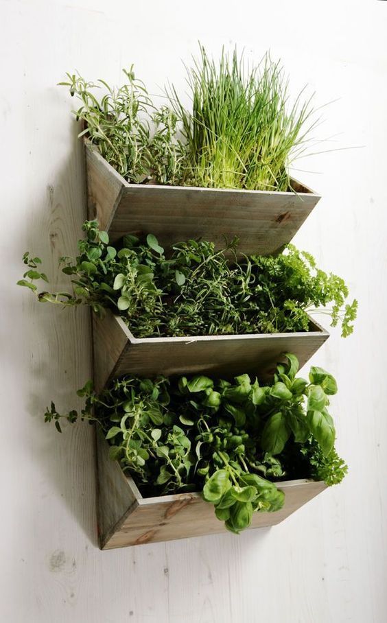 Die besten 25+ Indoor vertikale gärten Ideen auf Pinterest - indoor garten wohlfuhloase wohnung begrunen Die besten 25+ Indoor vertikale gärten Ideen auf Pinterest - indoor garten wohlfuhloase wohnung begrunen