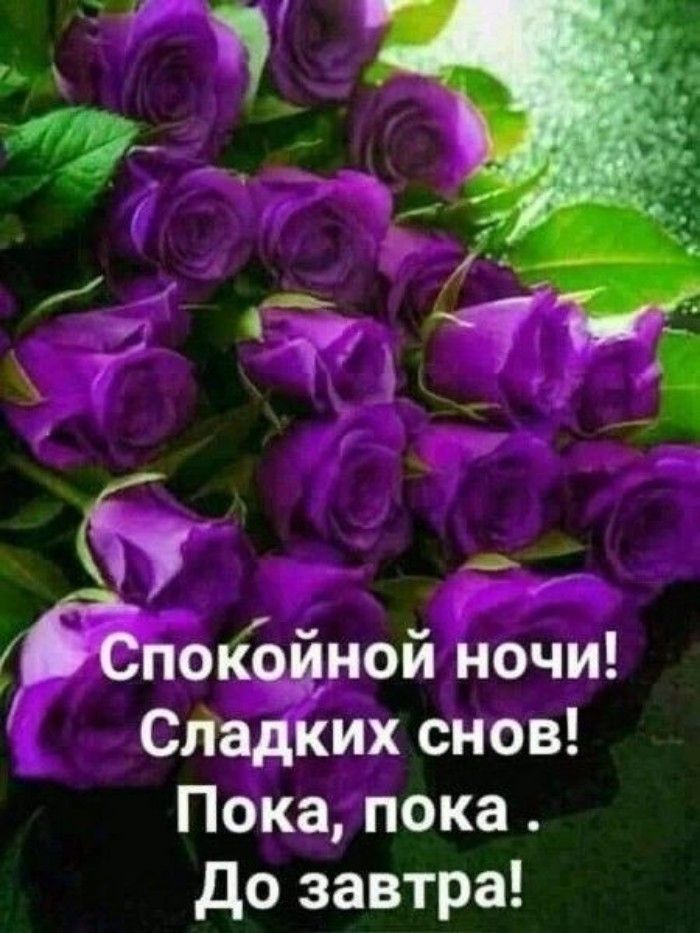 Никахом, открытки всем пока спокойной ночи