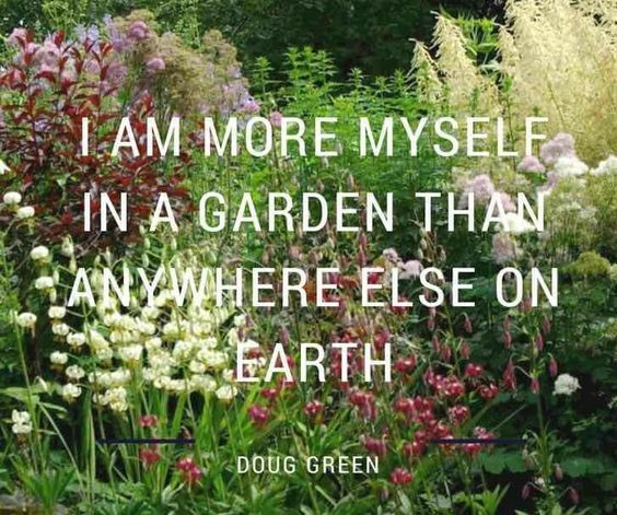 I am more myself in a #garden than anywhere else on Earth." - Doug