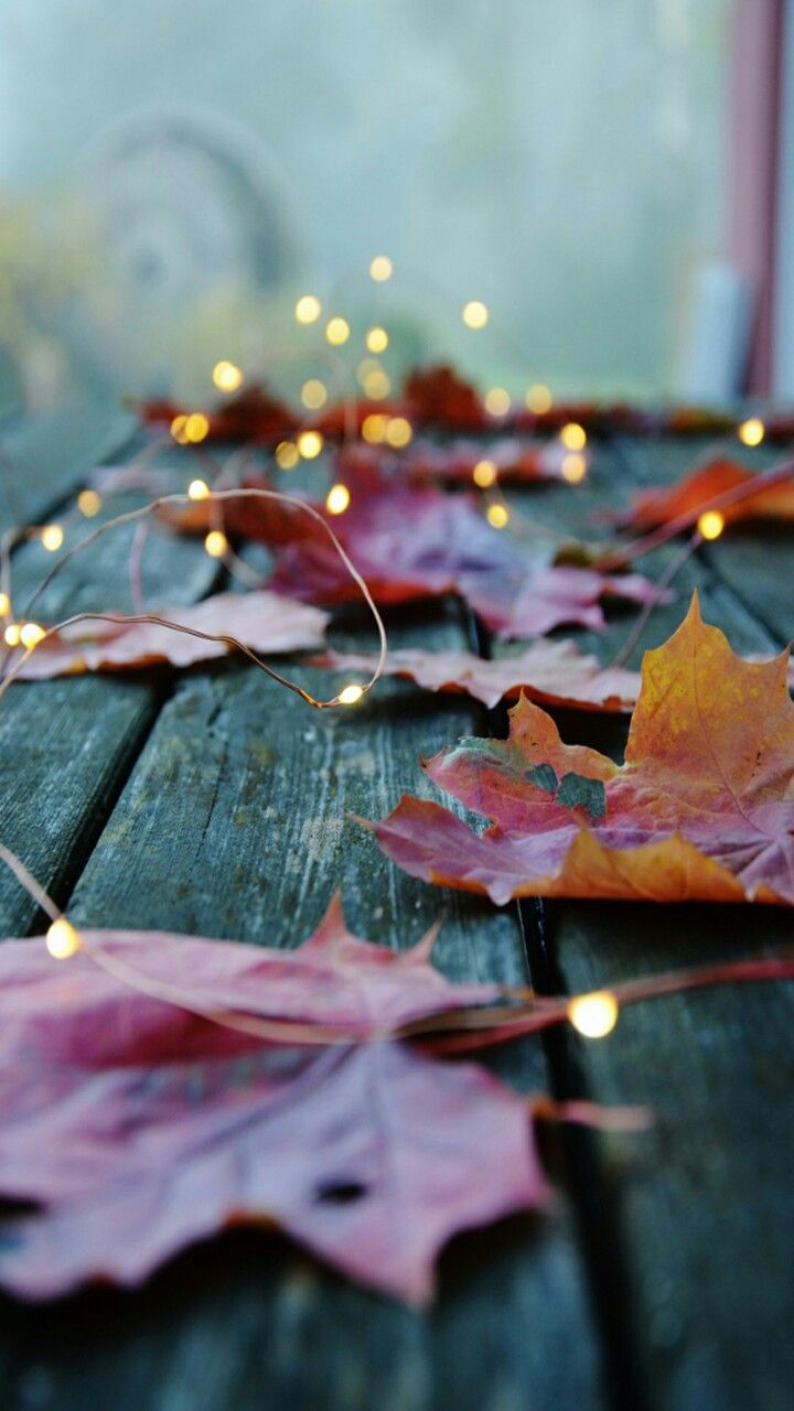 86 Best Phone Wallpapers Images On Pinterest Backgrounds Phone 86 Best Phone Wallpapers Images On Pinterest Backgrounds Phone