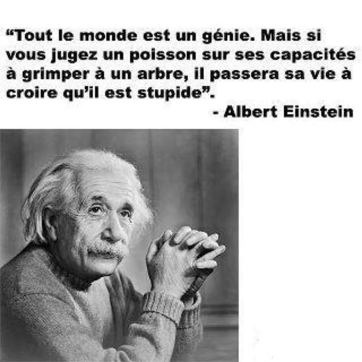 a description of what kind of a genius was albert einstein a description of what kind of a genius was albert einstein
