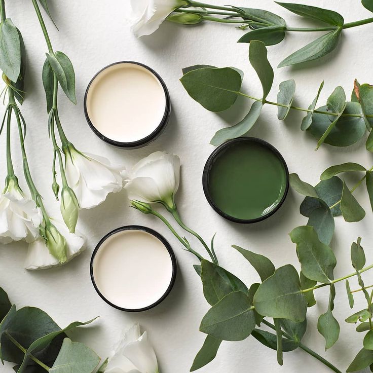 Resene’s Instagram photo: “A natural beauty. Testpots clockwise from