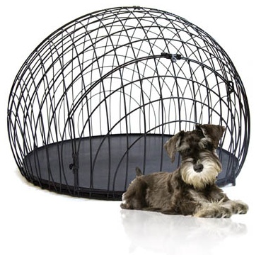Dog In Kennel Pictures Dog In Kennel Pictures