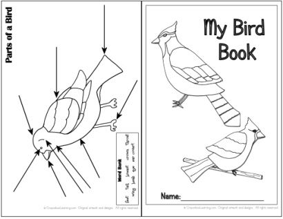 bird journal template