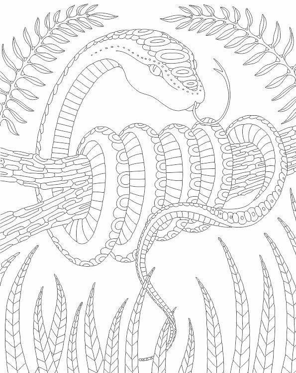 Download Pin by Dace Bruna on colouring | Snake coloring pages, Animal coloring pages, Coloring pages