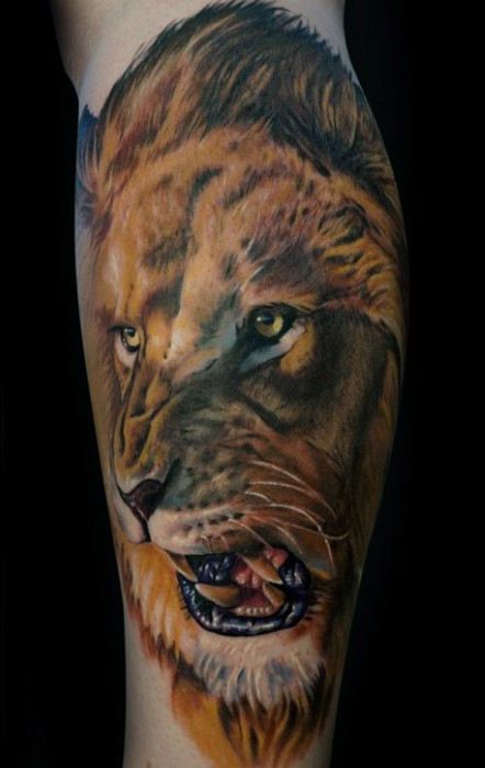 25 gorgeous lion forearm tattoos ideas on pinterest tiger 25 gorgeous lion forearm tattoos ideas on pinterest tiger