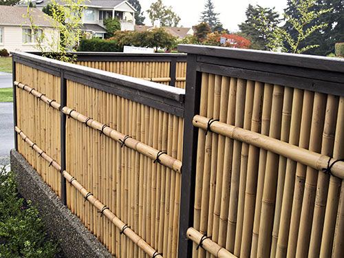 Garden Ideas To Hide Fence the 25+ best bamboo fencing ideas on pinterest | terrace, tuin and Garden Ideas To Hide Fence the 25+ best bamboo fencing ideas on pinterest | terrace, tuin and