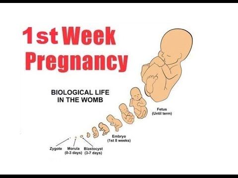 Signs of pregnancy before test
