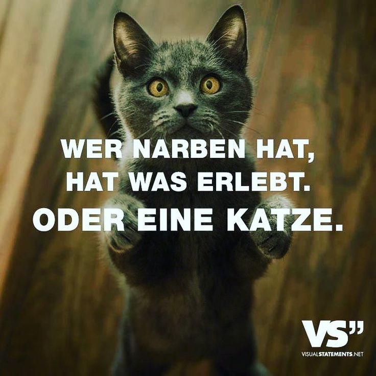 Ich Wünsche Euch Beiden Ich Wünsche Euch Beiden