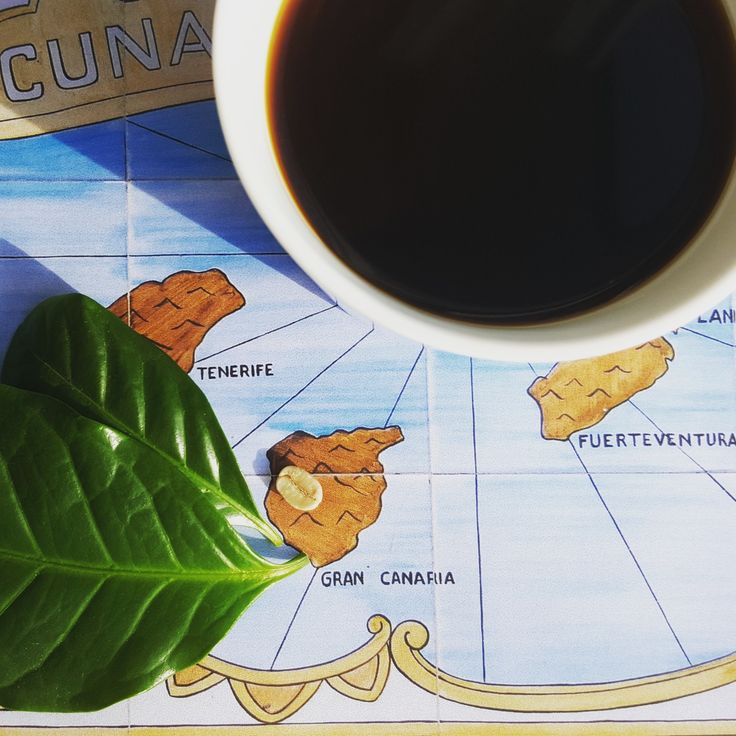 Wann Ist Kaffee Abgebaut Wann Ist Kaffee Abgebaut