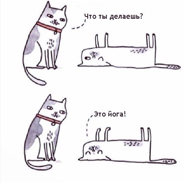 Смешное йога картинки