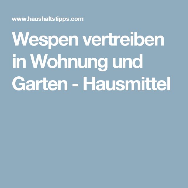 Die besten 25+ Wespen vertreiben Ideen auf Pinterest Hausmittel - hausmittel gegen ameisen in der küche Die besten 25+ Wespen vertreiben Ideen auf Pinterest Hausmittel - hausmittel gegen ameisen in der küche