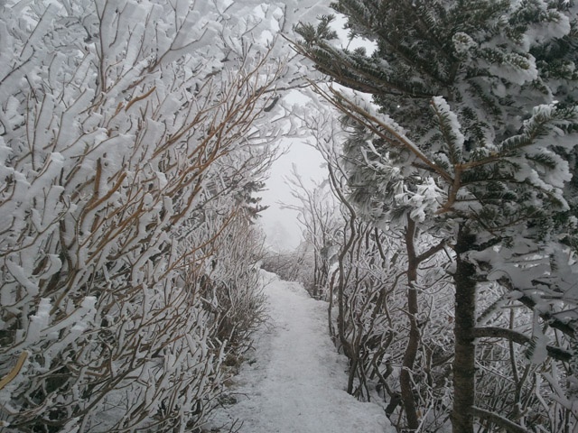winter in sokcho winter in sokcho