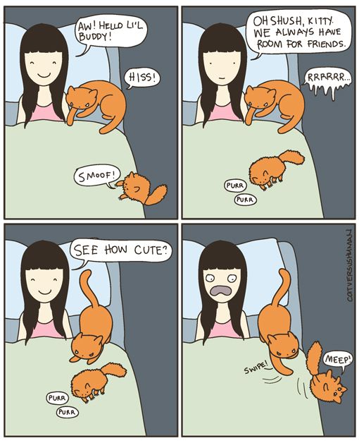 dogs rule cats drool essay The latest tweets from dogs rule cats drool (@dogsrulecats) join my doggie duo, max and tasha as they plot to banish sassy the cat as a pet writer, i share how-to. dogs rule cats drool essay The latest tweets from dogs rule cats drool (@dogsrulecats) join my doggie duo, max and tasha as they plot to banish sassy the cat as a pet writer, i share how-to.