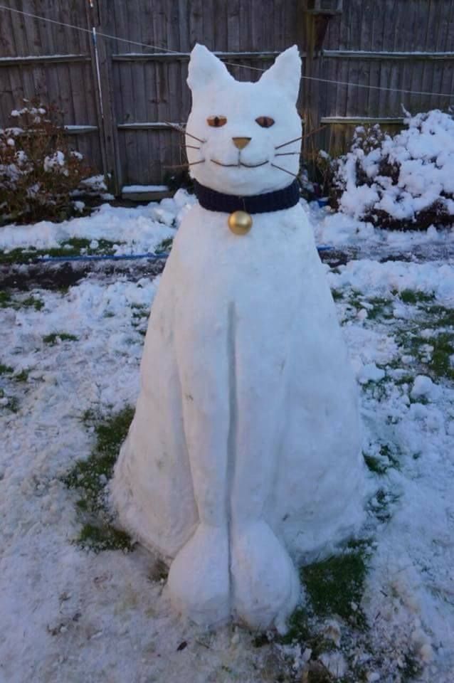 pix Cat Snowman Ideas pinterest