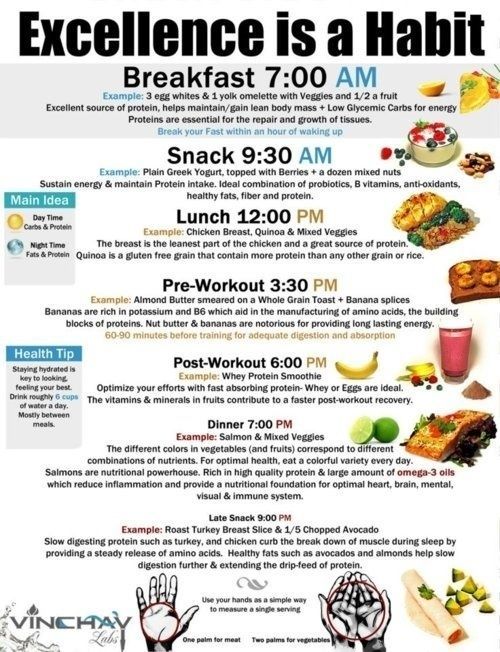 Printable eating and exercise diets