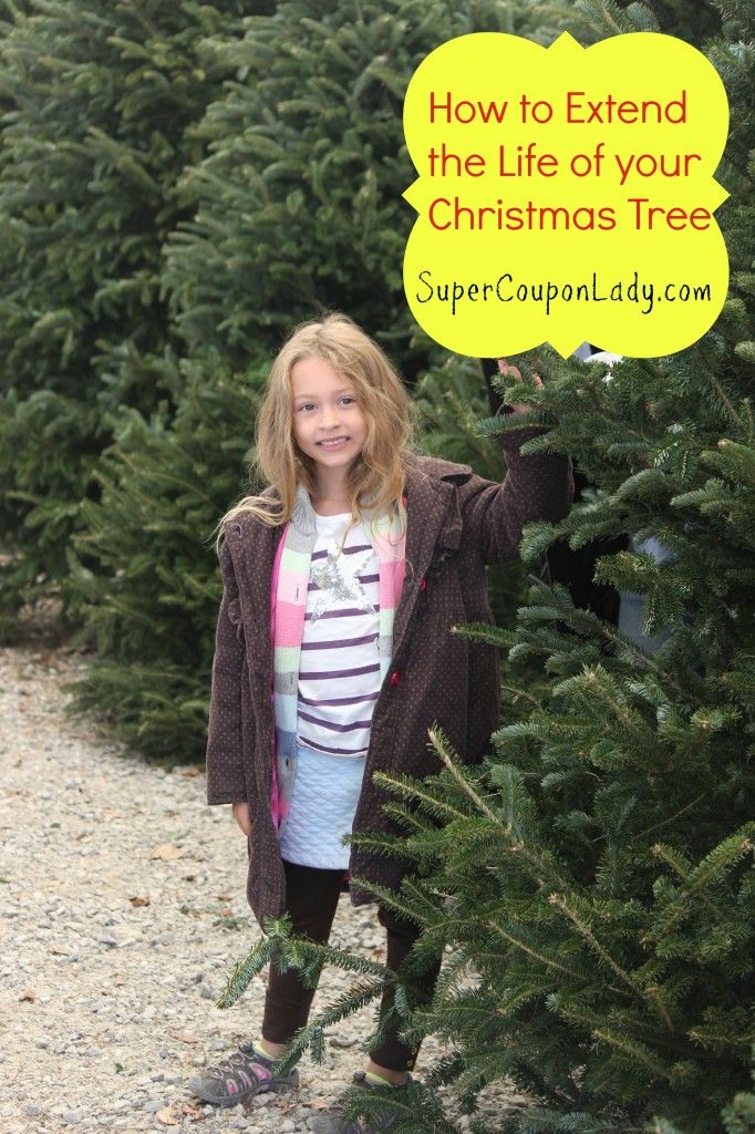 7 best christmas crafts images on pinterest christmas 7 best christmas crafts images on pinterest christmas