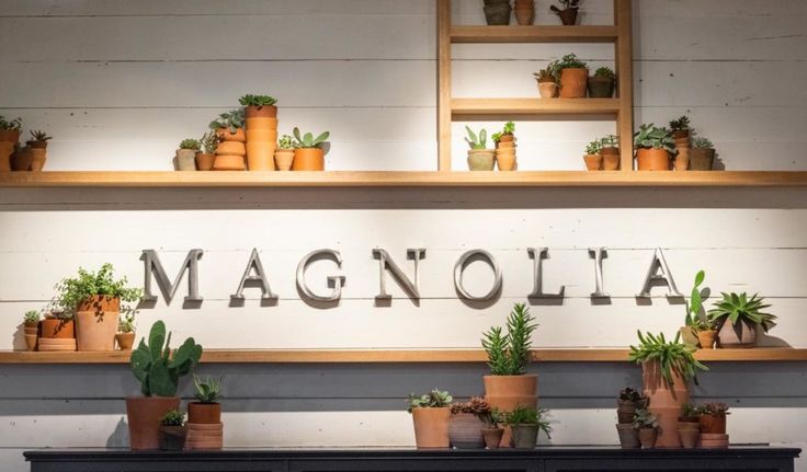 magnolia garden center in laredo tx