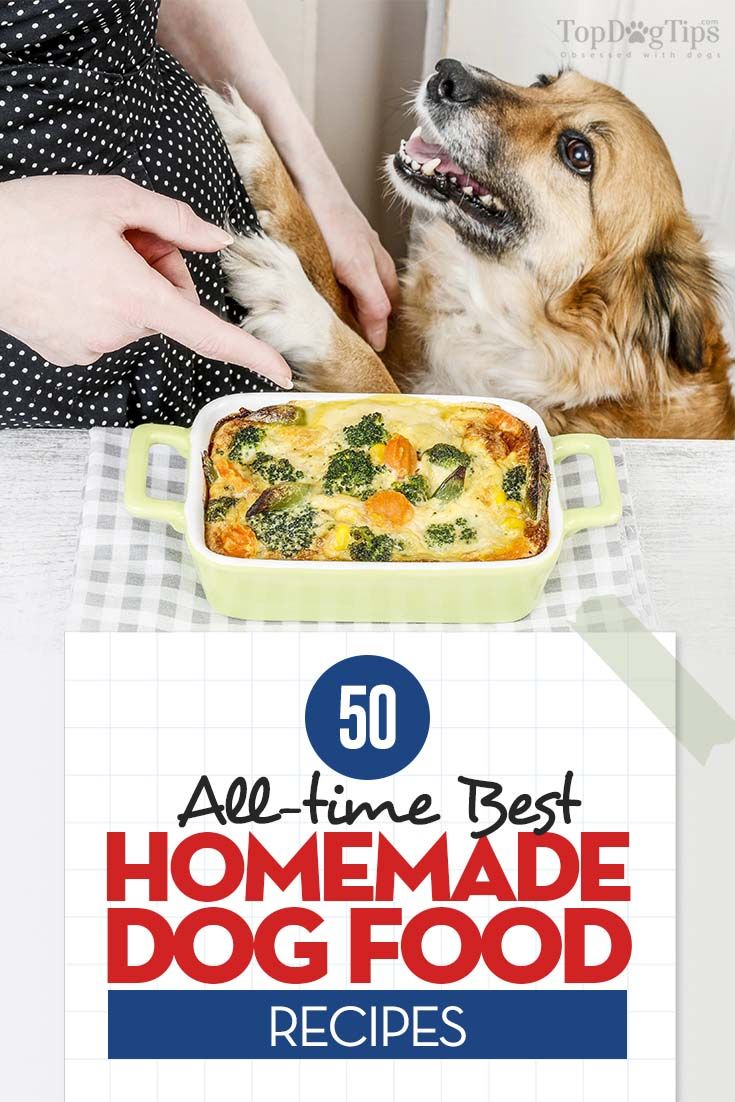 Best Food For Irritable Bowel Syndrome In Dogs Best Food For Irritable Bowel Syndrome In Dogs