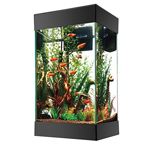 Top Fin Essentials Aquarium Starter Kit 20 Gallon